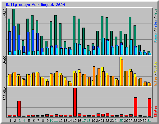 Daily usage for August 2024