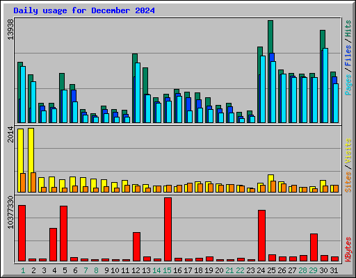Daily usage for December 2024