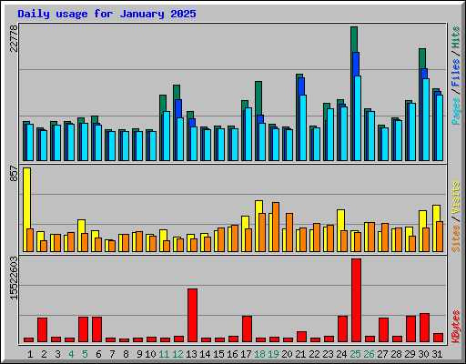 Daily usage for January 2025