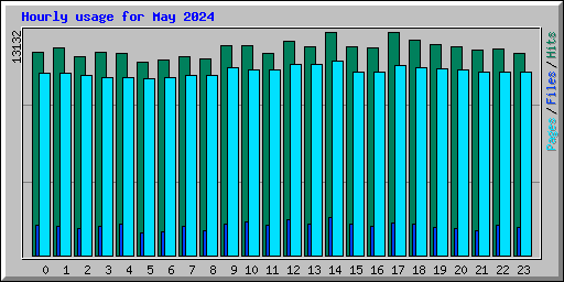 Hourly usage for May 2024