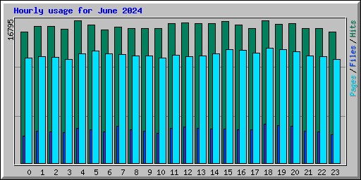 Hourly usage for June 2024