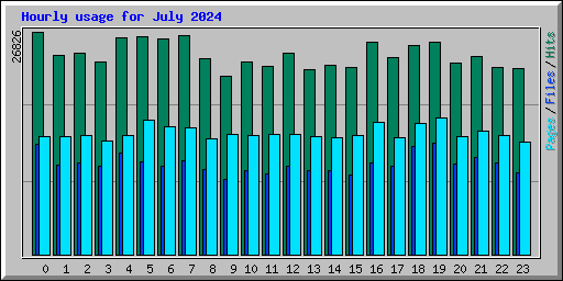 Hourly usage for July 2024