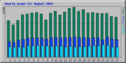 Hourly usage for August 2024