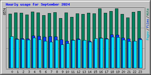 Hourly usage for September 2024