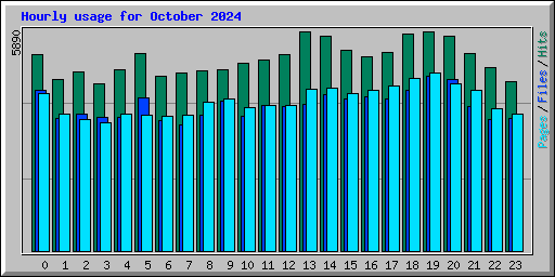 Hourly usage for October 2024