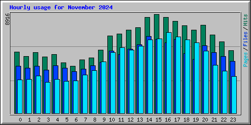 Hourly usage for November 2024