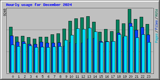 Hourly usage for December 2024