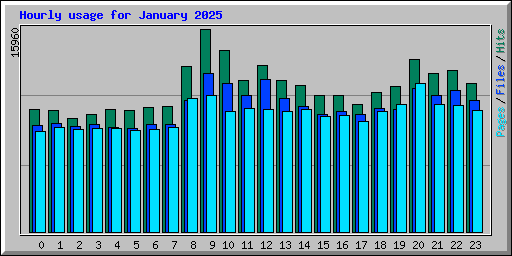 Hourly usage for January 2025