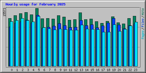 Hourly usage for February 2025