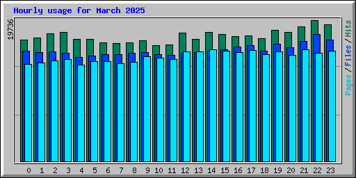 Hourly usage for March 2025