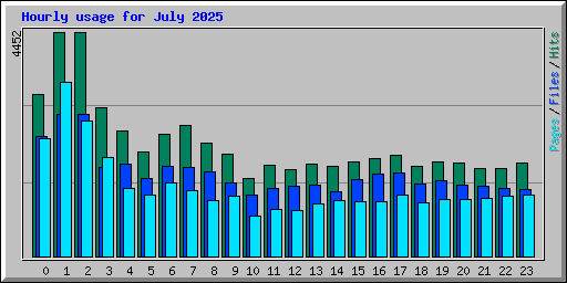 Hourly usage for July 2025