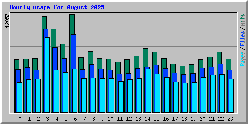 Hourly usage for August 2025