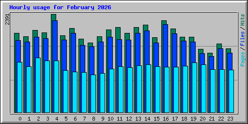 Hourly usage for February 2026