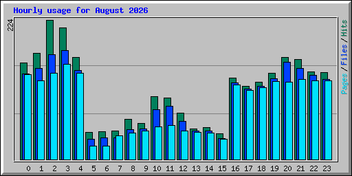 Hourly usage for August 2026