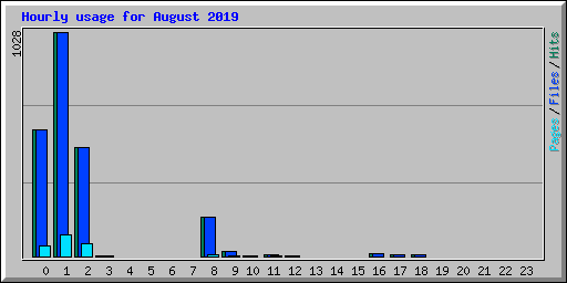 Hourly usage for August 2019