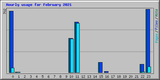 Hourly usage for February 2021