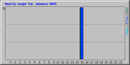 Hourly usage for January 2025